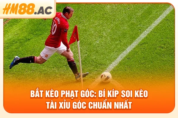 Bắt kèo phạt góc: Bí kíp soi kèo tài xỉu góc chuẩn nhất