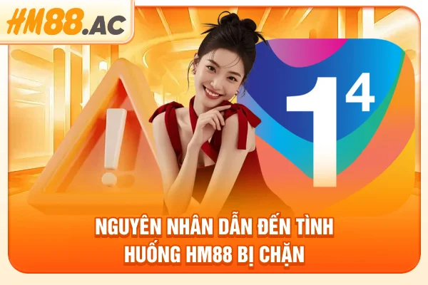 Nguyên nhân dẫn đến tình huống HM88 bị chặn
